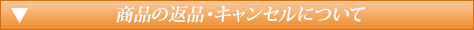 キャンセルについて